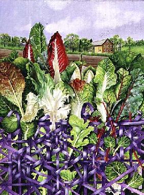 Lettuce Leaves in Purple Wicker, 1996 (acrylic on paper) 