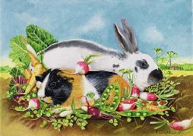 Rabbit and Guinea Pig, 1998 (acrylic on canvas) 