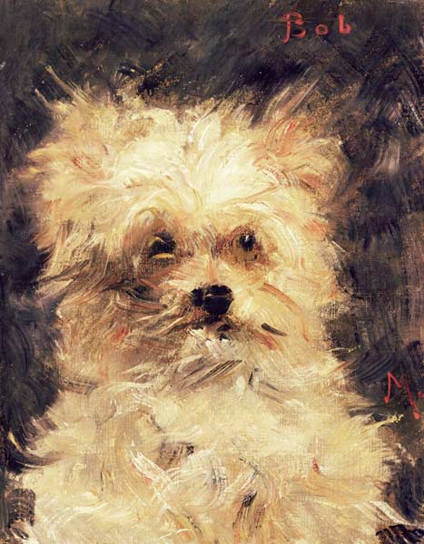 Head of a Dog - "Bob" from Edouard Manet