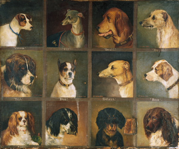 Twelve Favourite Dogs from Edwin Frederick Holt