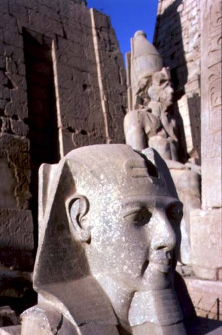 Colossal head of Ramesses II (1298-32 BC) New Kingdom (photo) from Egyptian