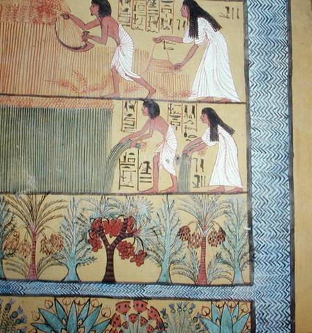 Detail of a harvest scene on the East Wall, from the Tomb of Sennedjem, The Workers' Village, New Ki from Egyptian