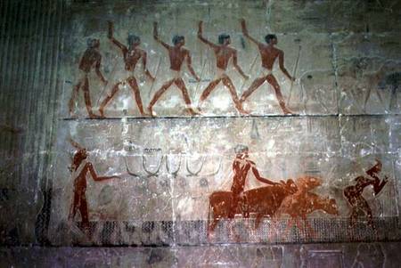 Men herding sheep and cattle from the Mastaba Chapel of Ti, Old Kingdom from Egyptian