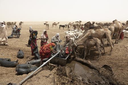 so much activity around the well at Borkou desert, Tchad