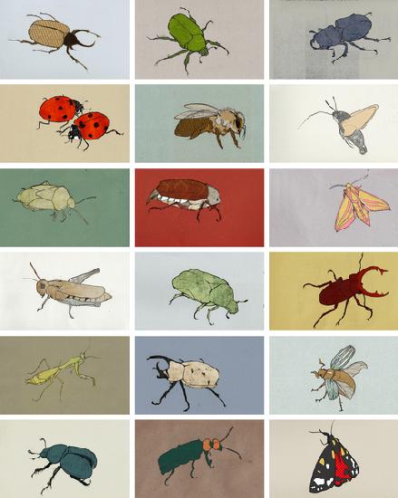 Insects