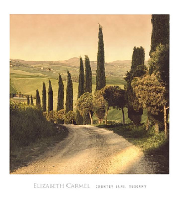 Country Lane, Tuscany from Elizabet Carmel