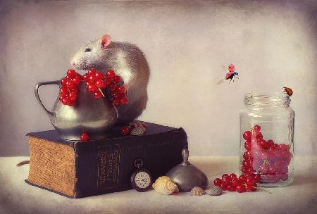 Still life with Jimmy and ladybirds...