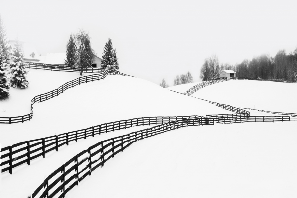 Farm in winter from Emma Zhao