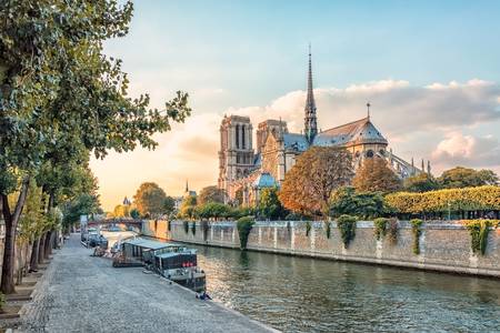 Notre-Dame Cathedral In Paris