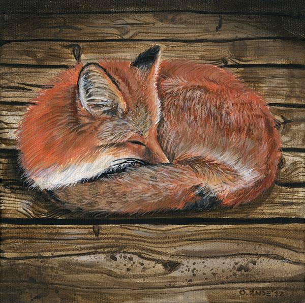 Baby fox from Oliver Ende