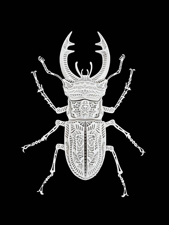 Stag beetle from Oliver Ende