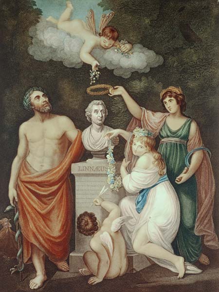 Aesculapius, Flora, Ceres and Cupid Honouring the Bust of Linnaeus, plate 17 from ''The Temple of Fl from English School