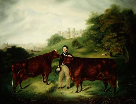 Thomas Ellman with Sussex Red Cattle from English School