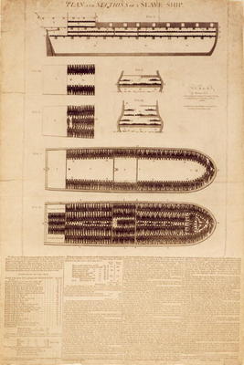 Plan and sections of a slave ship, published 1789 (engraving) from English School, (18th century)