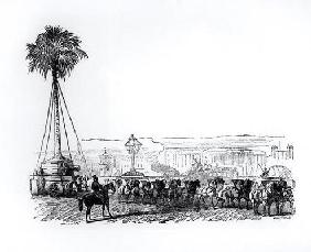 A palm tree being transported to Hyde Park for the Great Exhibition, London, 1851 (engraving) (b/w p
