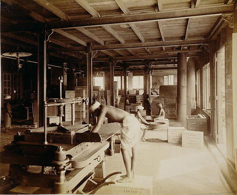 Tea pickers at the Lipton factory in Ceylon, c.1900 (photo) from English School, (20th century)