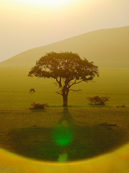 Paradise after the rain, Chyulu Hills from Eric Meyer