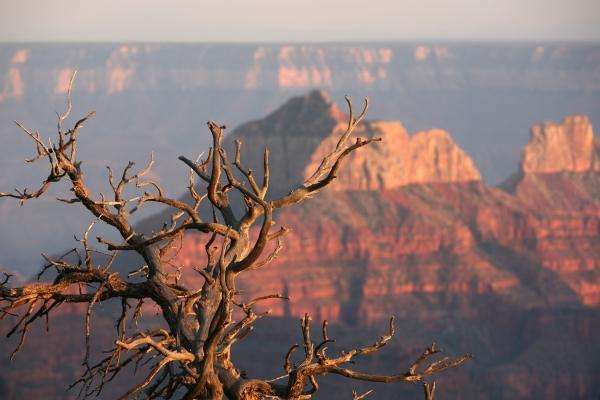 Abendstimmung am Grand Canyon from Erich Teister