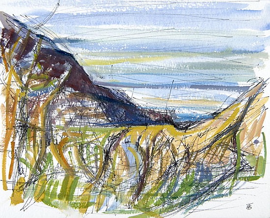 Towards Marsland Mouth, North Devon (pen and ink and and on paper) from Erin  Townsend
