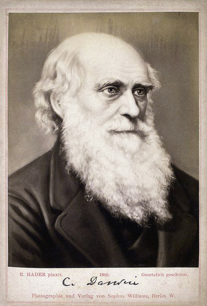 Portrait of Charles Darwin (1809-1882) from Ernst Hader