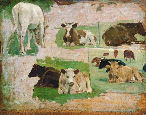 Study of Cows from Eugène Boudin