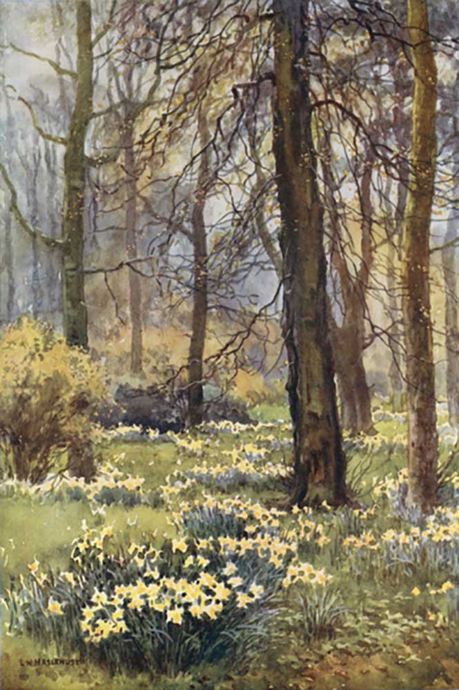 The Wilderness in Spring from E.W. Haslehust