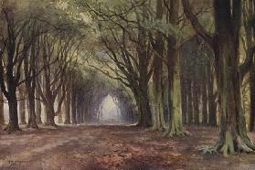 The Beech Avenue, Thoresby