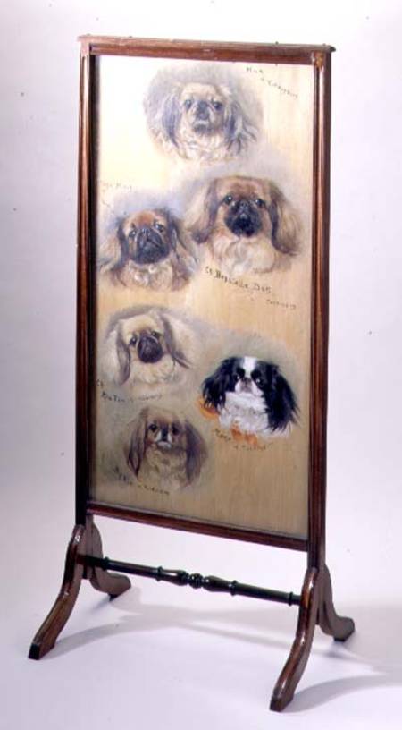 Head studies of Pekinese dogs, mounted as a fire screen from F. Mabel Hollams