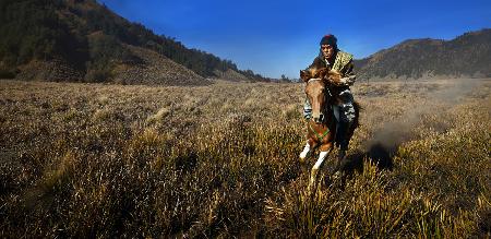 Bromo