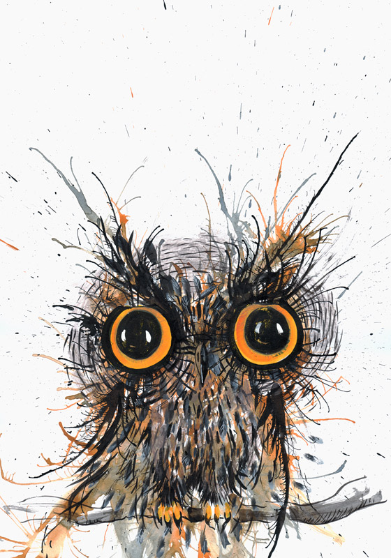 Wide eyed Owl from Faisal Khouja