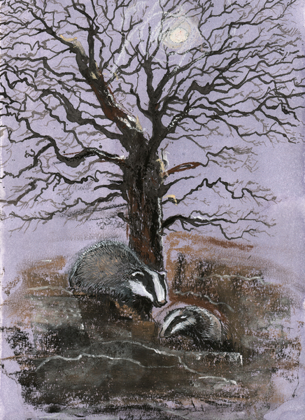 Badgers in the Moonlight from Faisal Khouja