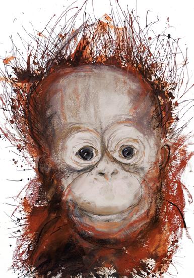 Orangutan