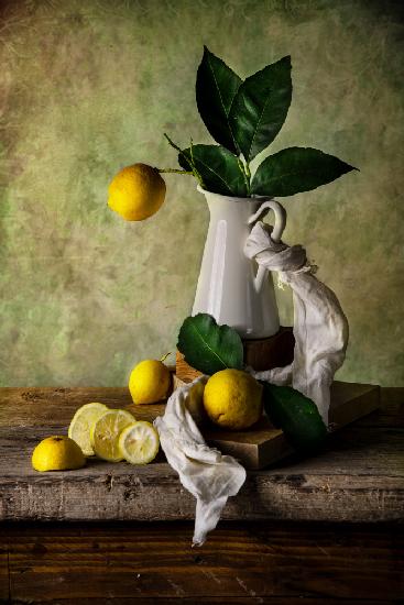 I limoni di Sorrento