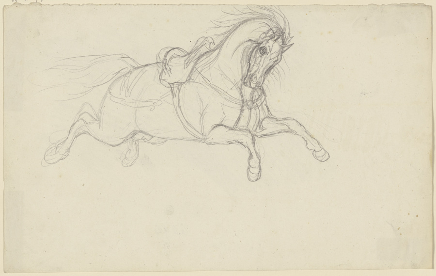 Durchgegangenes gesatteltes Pferd from Ferdinand Fellner