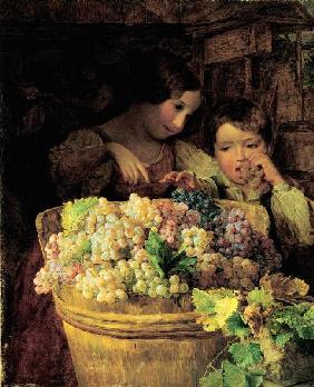 Two children at a vat filled with grapes