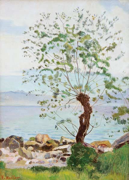 Willow at the Lake from Ferdinand Hodler