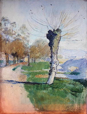 Willow Tree at the Junction, or Willow Tree in Spring, 1884 (oil on canvas) from Ferdinand Hodler