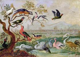 Birds from the Four continents in a landscape with a view of Peking in the background