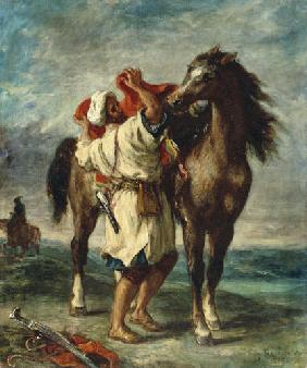 Arab saddles his horse