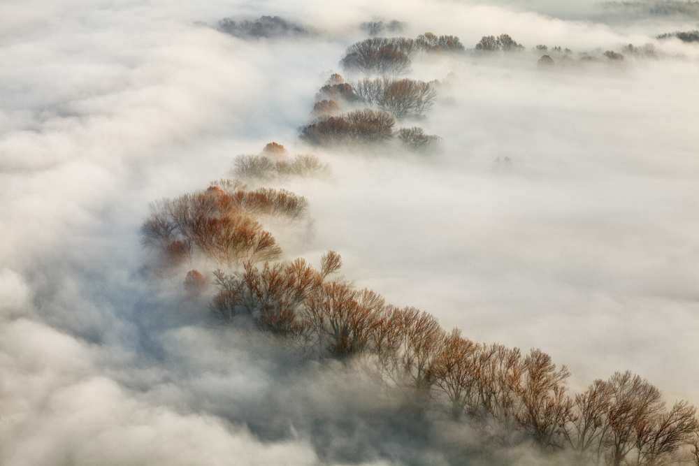 Foggy valley from Fiorenzo Carozzi