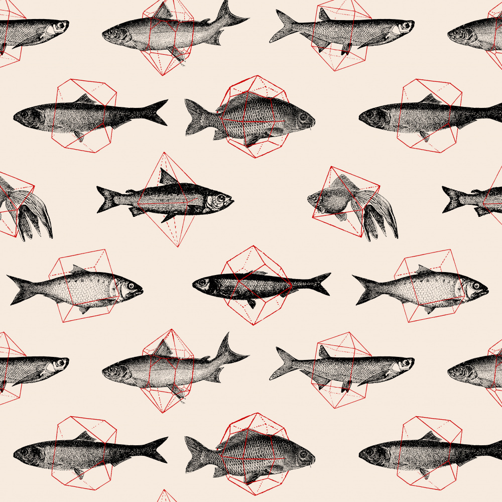 Fish In Geometrics Nº1 from Florent Bodart