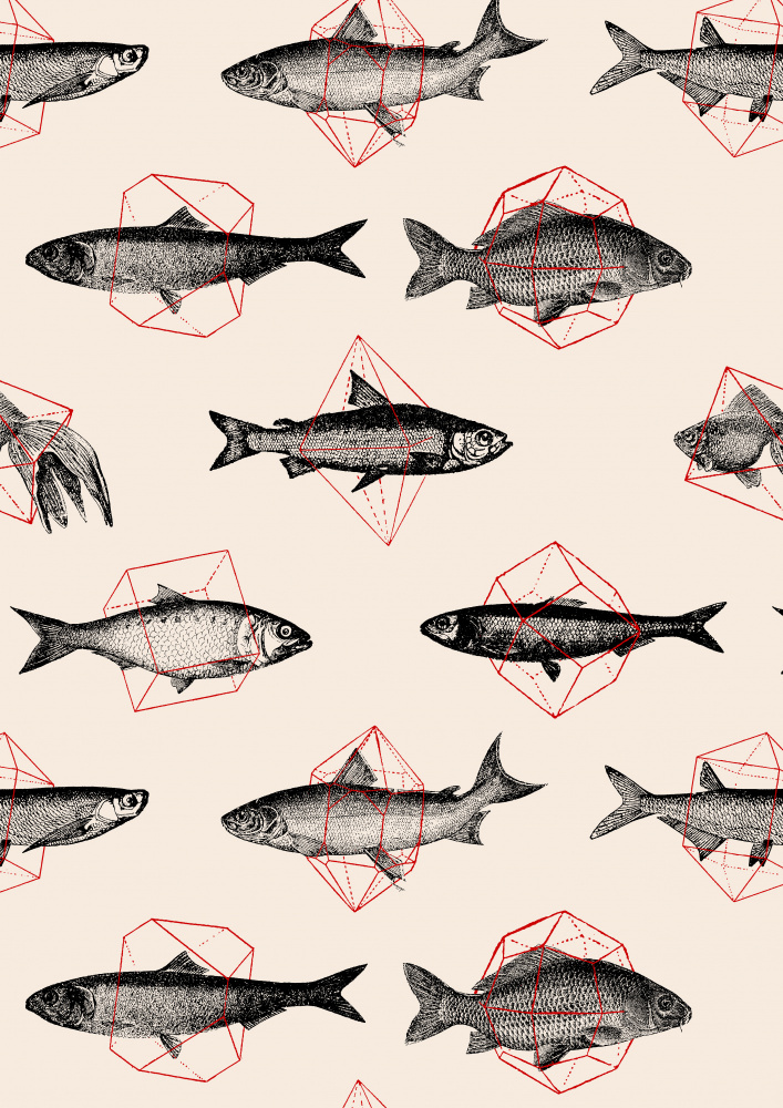 Fishes In Geometrics Nº4 from Florent Bodart