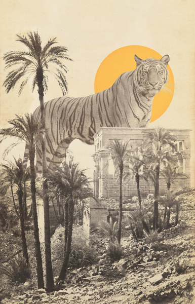 Giant Tiger in Ruins and Palms from Florent Bodart