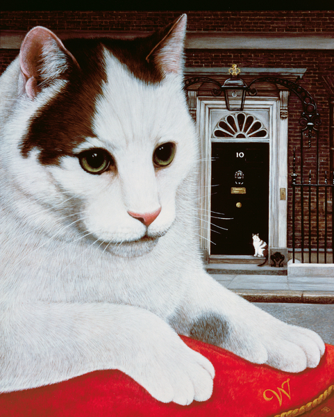 Wilberforce, the Number 10 Cat from Frances Broomfield