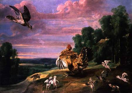 The Hawk and the Hen from Frans Snyders