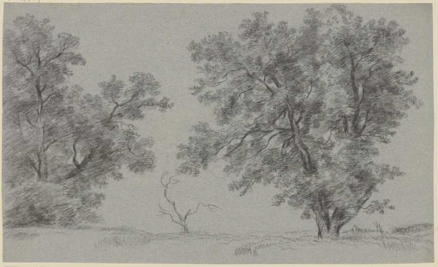 Tree-covered meadow from Franz Innocenz Josef Kobell