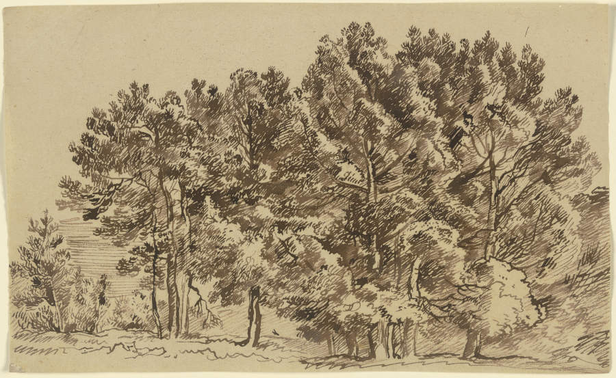 A grove from Franz Innocenz Josef Kobell