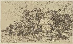 Riverbank with trees