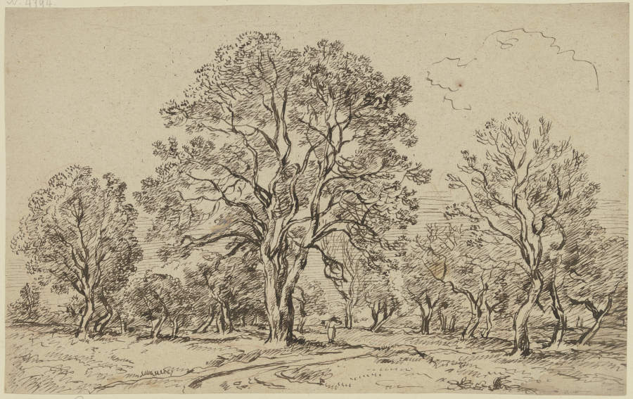 Group of tall trees from Franz Innocenz Josef Kobell