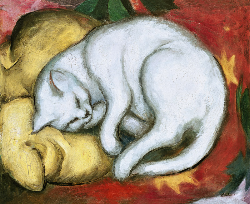 Tomcat on a yellow cushion from Franz Marc
